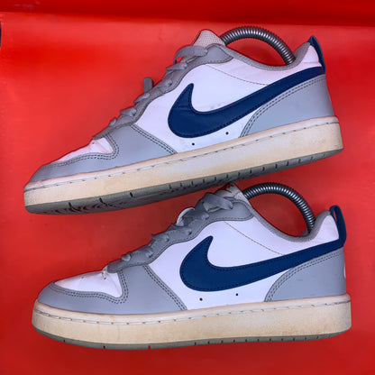 Nike Dunks Low Retro Blue Swoosh