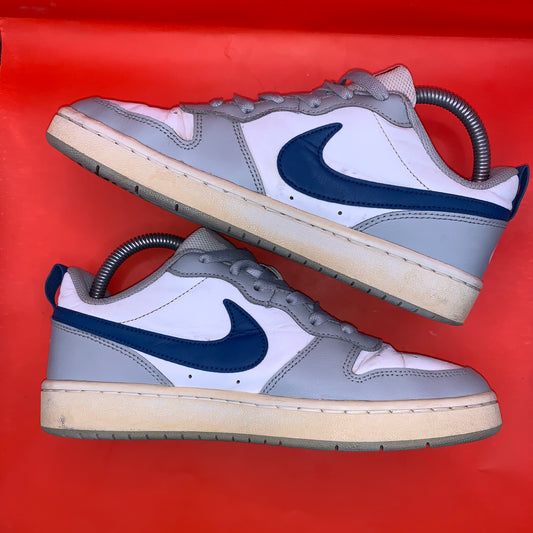 Nike Dunks Low Retro Blue Swoosh